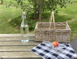 Strakke open picknickmand met hengsel (35x25x15cm)
