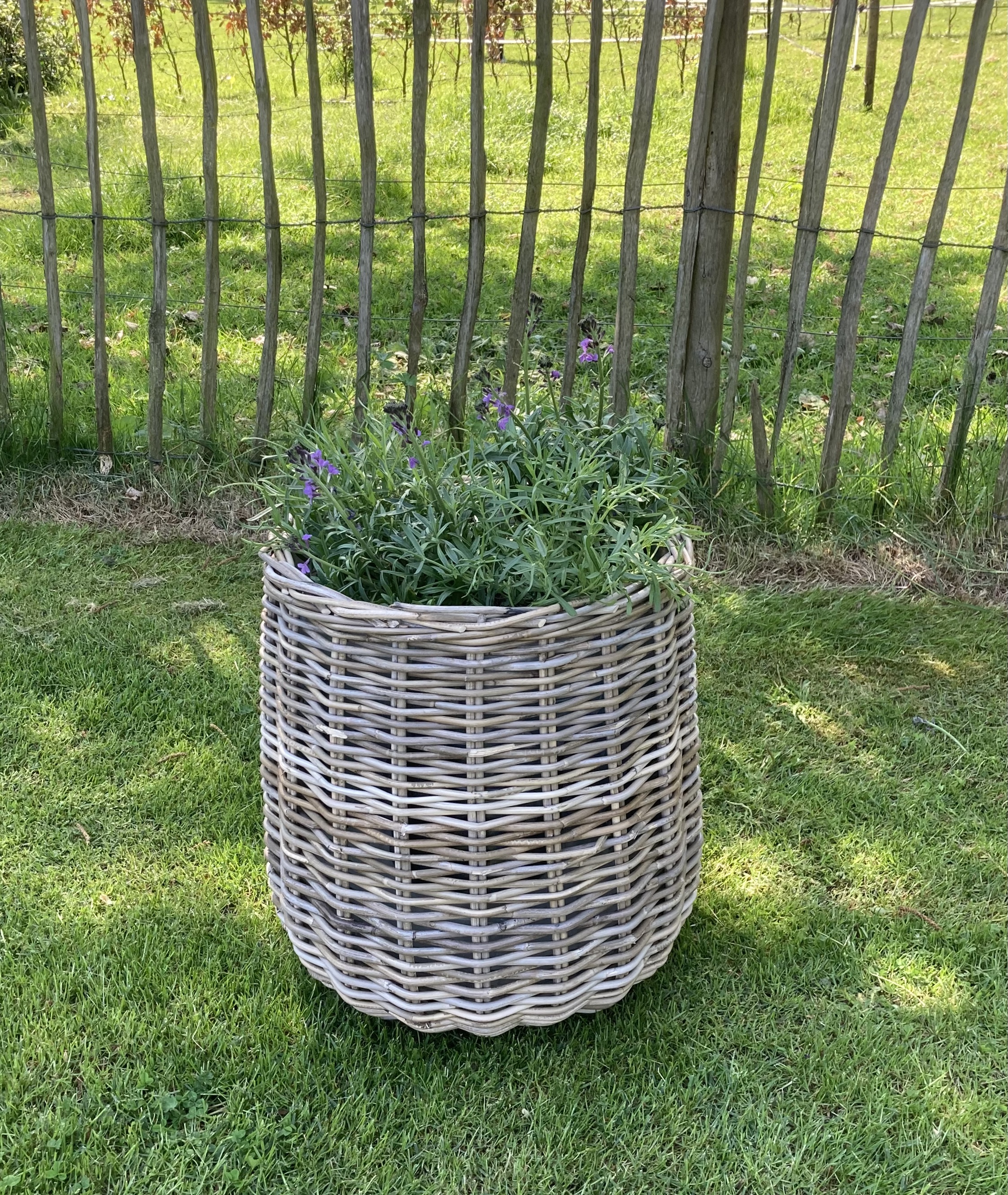 Hoher Garten-Topf (48 x 50 cm)