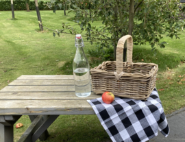 Kleine open picknickmand met hengsel rechthoekig (35x25x30cm)