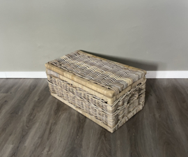 Sleek medium-sized storage case (70x38x30cm)
