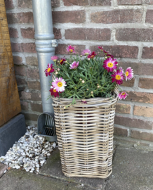 Kleiner quadratischer Blumentopf (24 x 24 x 37 cm)