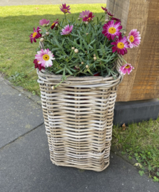 Plantenpot vierkant klein (24x24x37cm)