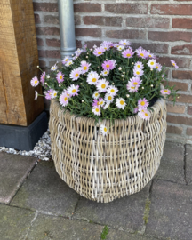 Large, uniquely woven garden basket (50 x 47 cm)