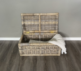 Sleek medium-sized storage case (70x38x30cm)