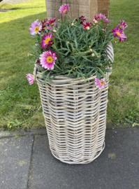 Plantenmand rond klein (25x36cm)