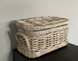 Kleine smalle opbergkoffer (40x22x20cm)