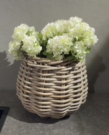 Hortensia set van 3 stuks wit