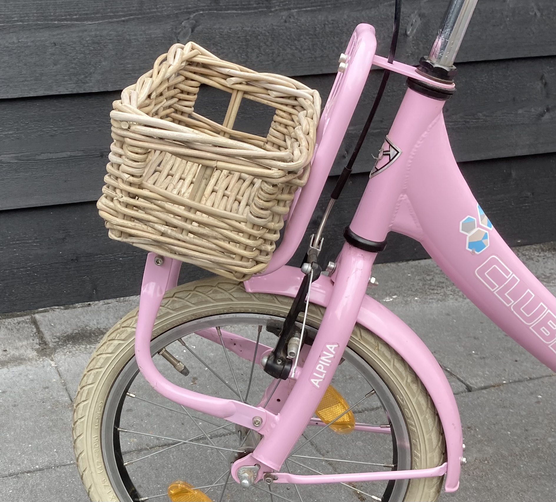 Kleiner rechteckiger Fahrradkorb (29 x 18 x 12 cm)