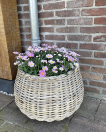 Großer, kugelförmiger Blumentopf (58 x 43 cm)
