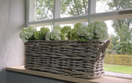 Vensterbankmand (55x20x20cm) met hengsels