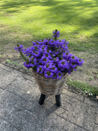 Kleiner Blumenkorb auf Füßen (27 x 42 cm)