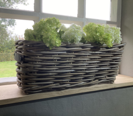 Fensterbankkorb (50 x 20 x 20 cm)  Ledergriffe