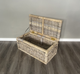 Sleek medium-sized storage case (70x38x30cm)