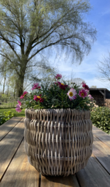 Gartenkorb, besonders geflochten, klein (30 x 27 cm)
