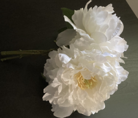 Weiße Blume (1 Stück)