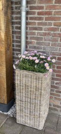 Große Rattan Säule für den Garten | Blumensäule (40 x 40 x 85 cm)