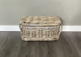 Kleine smalle opbergkoffer (40x22x20cm)