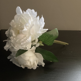 Weiße Blume (1 Stück)