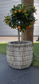 Gartenkorb, besonders geflochten, mittelgroß (40 x 37 cm)