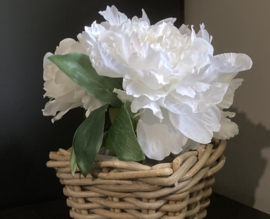 Weiße Blume (1 Stück)