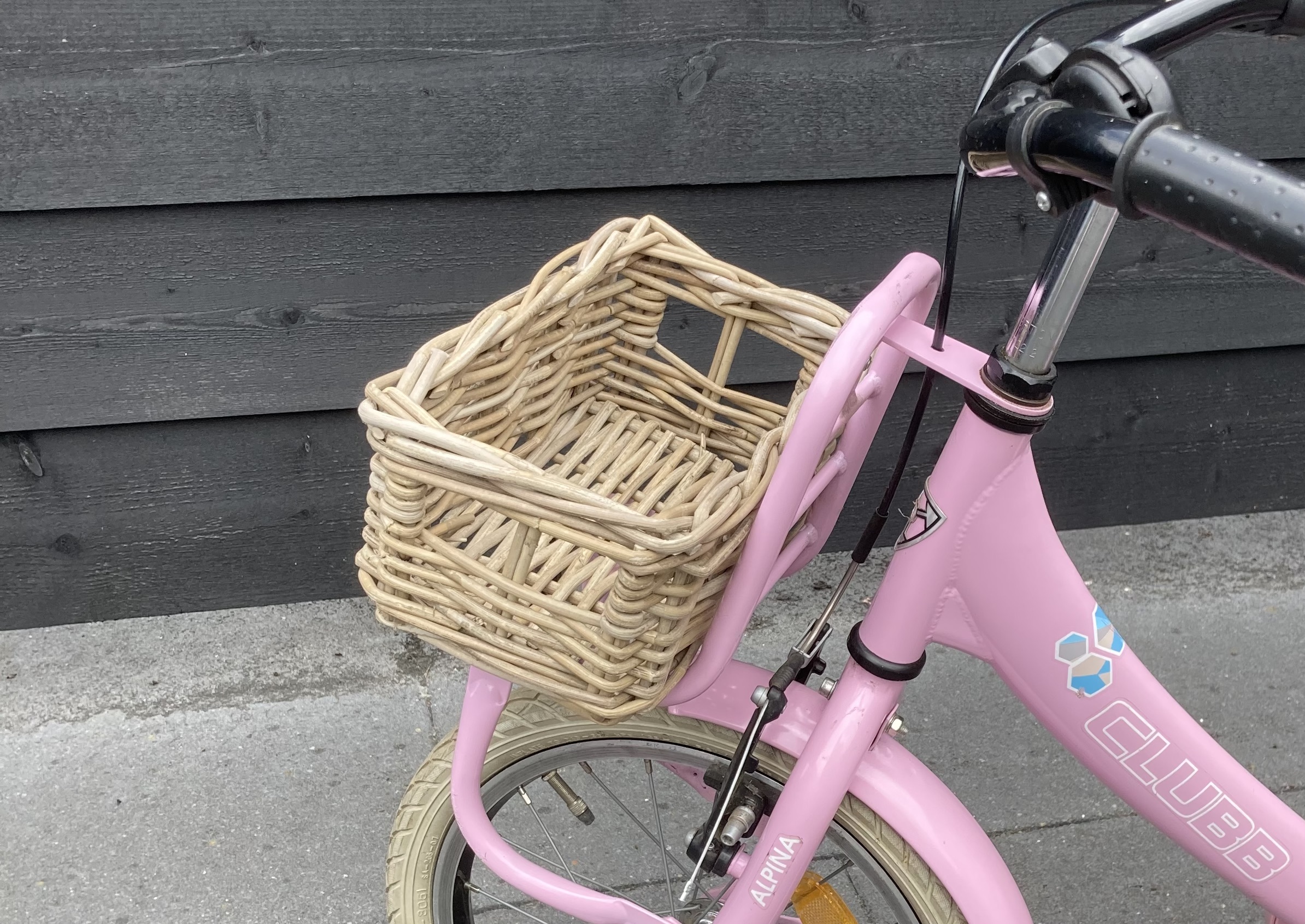 Kleiner rechteckiger Fahrradkorb (29 x 18 x 12 cm)