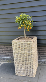 Large strakke zuil (48x48x85cm)