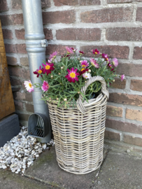 Kleiner runder Pflanzenkorb (25 x 36 cm)