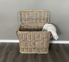Hoge koffermand met klep (60x30x55)
