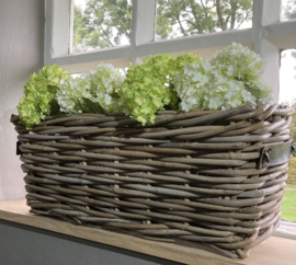 Set van 4 hortensia (2 wit - 2 wit/groen)