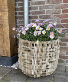 Large, uniquely woven garden basket (50 x 47 cm)