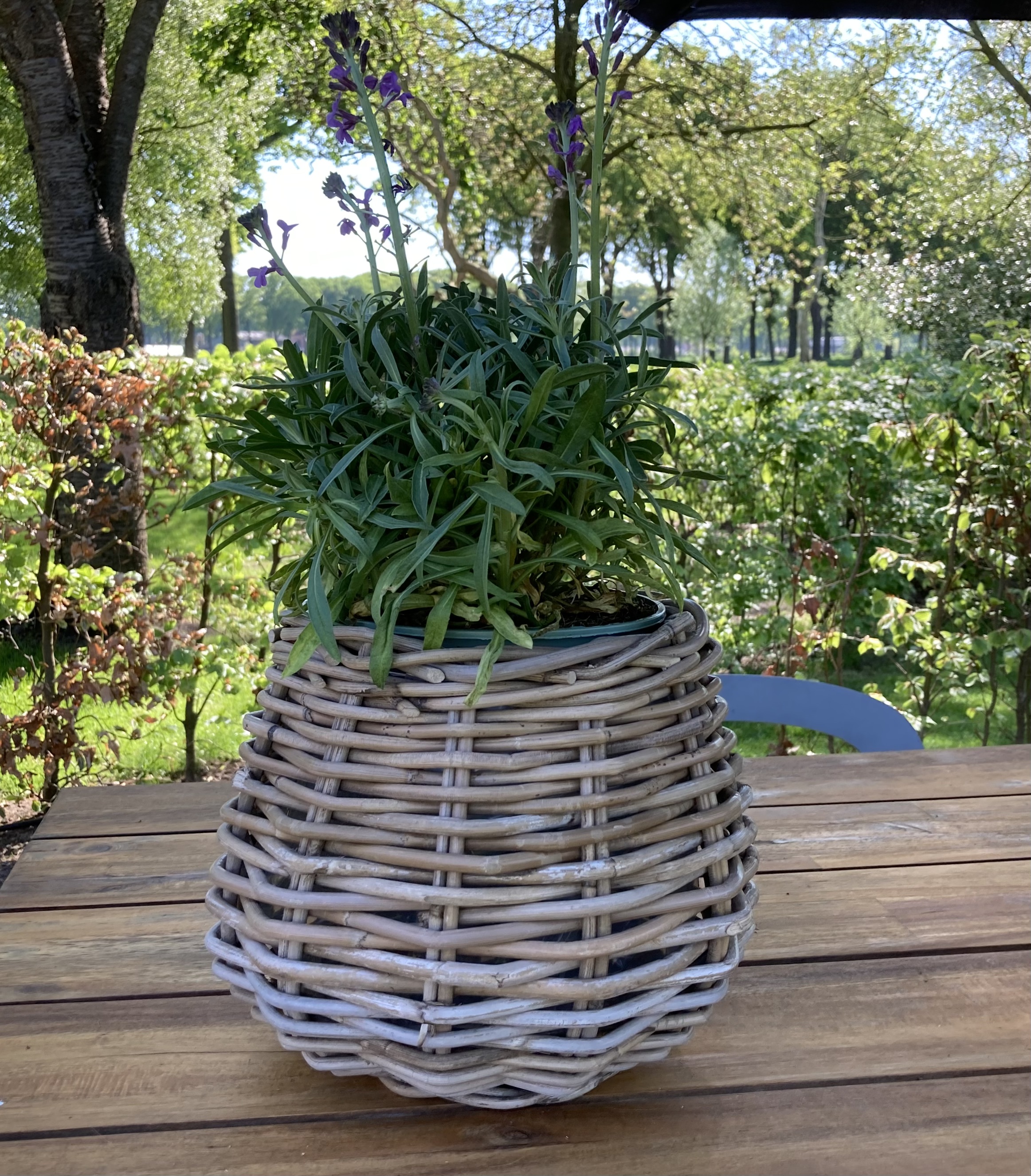 Plantenpot bolvorm klein (26x24cm)