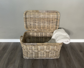 Medium-sized pannier (62x37x38cm)