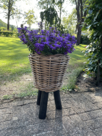 Kleiner Blumenkorb auf Füßen (27 x 42 cm)