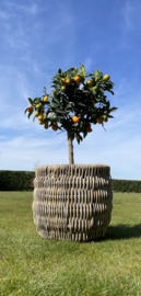 Gartenkorb, besonders geflochten, mittelgroß (40 x 37 cm)