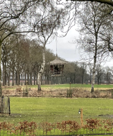 Futterhaus aus Rattan