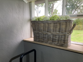 Vensterbankmand (55x20x30cm) met hengsels