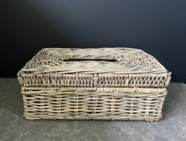 Tissue holder (28 x 17 x 11 cm)