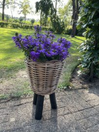Kleiner Blumenkorb auf Füßen (27 x 42 cm)