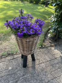 Kleiner Blumenkorb auf Füßen (27 x 42 cm)
