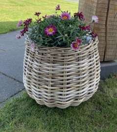 Plantenpot bolvorm middel (38x33cm)