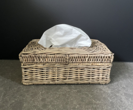 Tissue holder (28 x 17 x 11 cm)