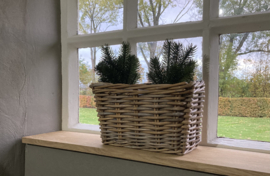 Set van 2 pijnboomtakjes