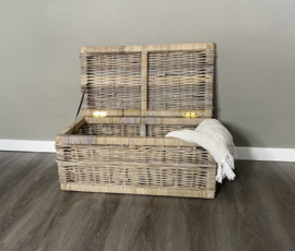 Sleek medium-sized storage case (70x38x30cm)