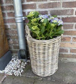 Runder Pflanztopf in mittlerer Größe (34 x 41 cm)