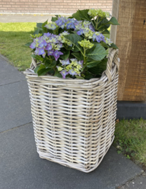 Plantenpot vierkant middel (33x33x40cm)