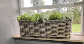 Window sill basket (60x23x20cm)