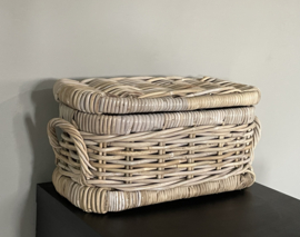 Kleine smalle opbergkoffer (40x22x20cm)