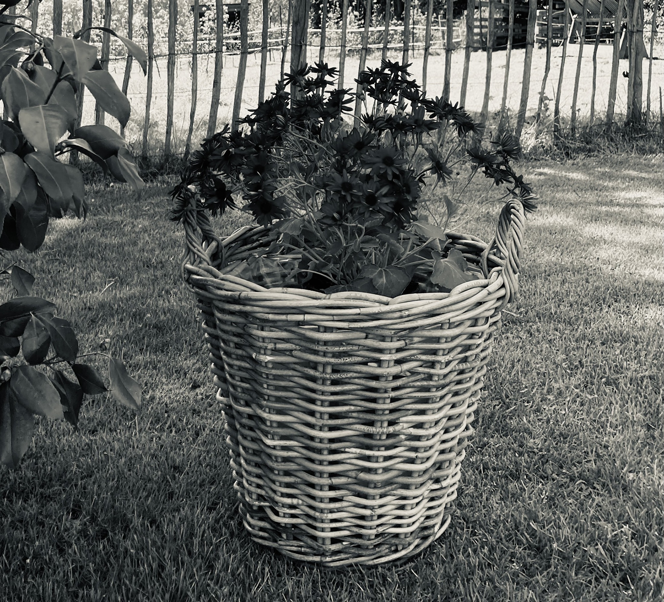 tuinmanden