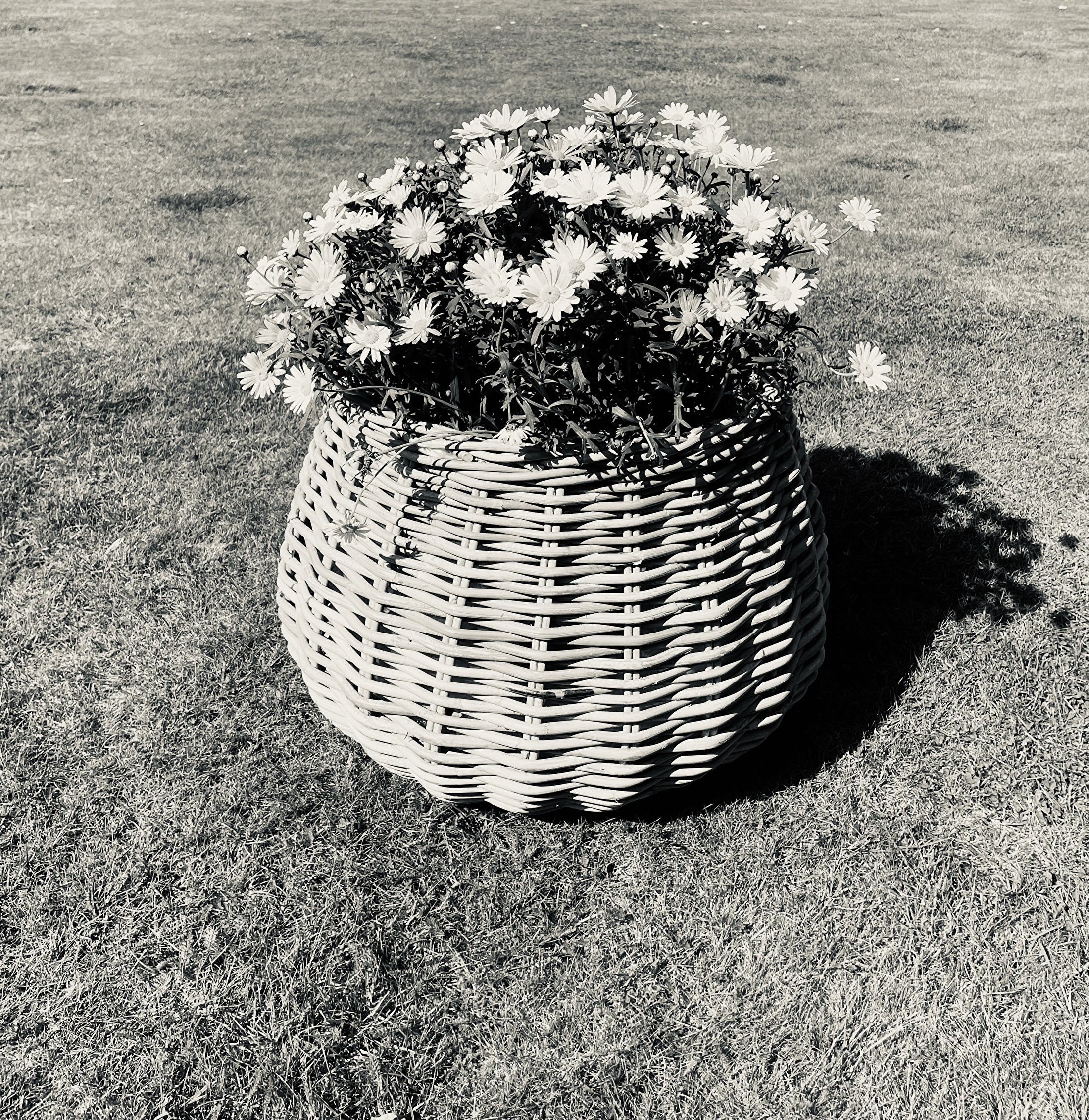 Tuinpot