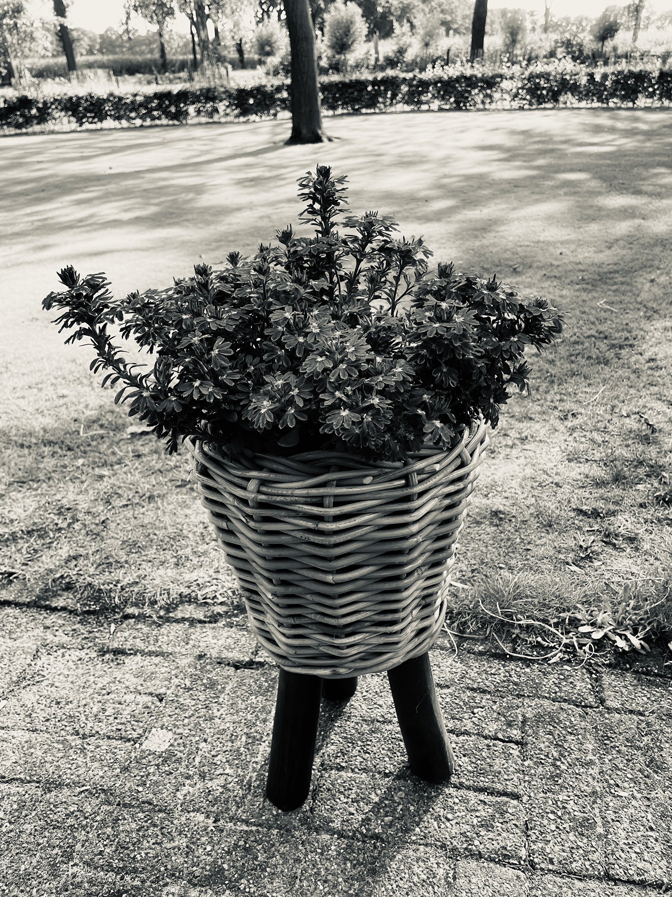 Tuinmand op poten